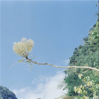 天境奇缘内购破解版下载
